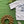 Load image into Gallery viewer, HALE`IWA BCH PARK -blue stone on white
